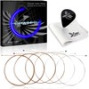 Phoenix Coated Strings, Acoustic Guitar Strings Phosphor Bronze, Transparent Sound,