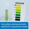 API AMMO-LOCK Freshwater and Saltwater Aquarium Ammonia Detoxifier 4-Ounce Bottle,