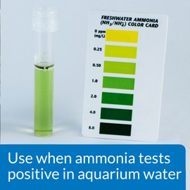 API AMMO-LOCK Freshwater and Saltwater Aquarium Ammonia Detoxifier 4-Ounce Bottle, AMMO LOCK, 4 OZ