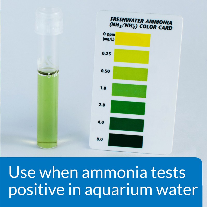 API AMMO-LOCK Freshwater and Saltwater Aquarium Ammonia Detoxifier 4-Ounce Bottle,