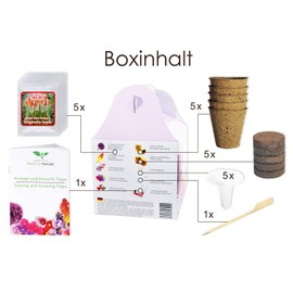 Gift propagation set: Blossom Magic 5 Continents Box - for Growing Yourself or as a Gift - an Original Gift Idea for Practically Any Occasion