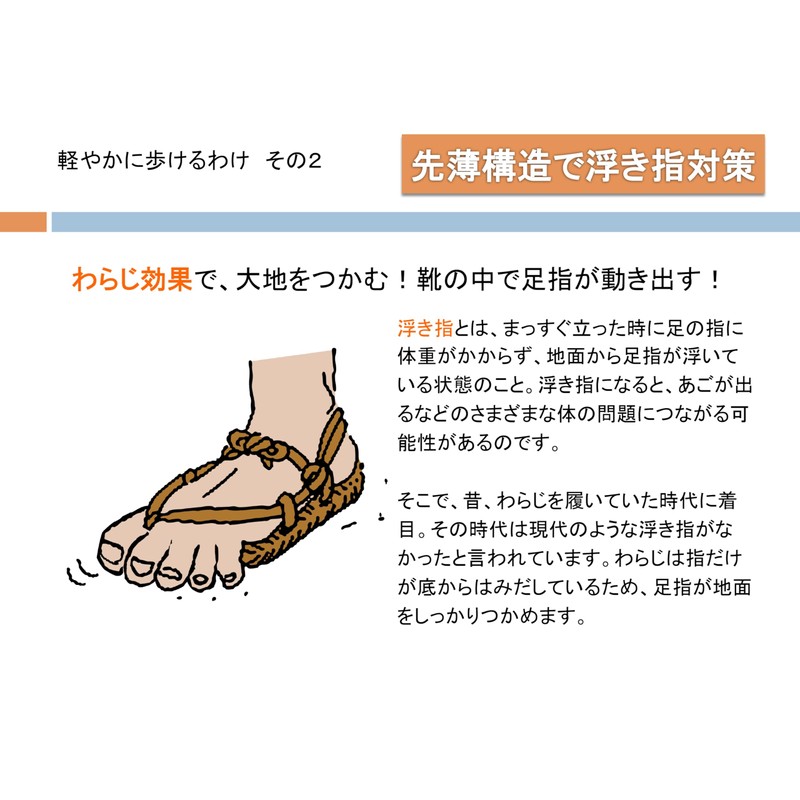 WildBear Acitafu Beyond BMZ Cuboid Balance Insole, Shock Absorption, Posture