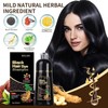 Hair Dye Shampoo Black 3-in-1 Colour Shampoo - Instant Colouring