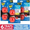 Raid Fruit Fly Trap Bundle, Set of 3 2-Pack Apple