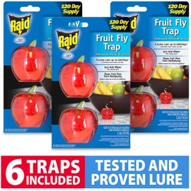 Raid Fruit Fly Trap Bundle, Set of 3 2-Pack Apple Fruit Fly Catcher Indoor Trap, 360-Day Supply of Fruit Fly Traps for Kitchen & Dining Areas, Reusable Gnat Traps w/Food-Based Lure for Fruit Flies