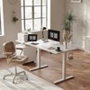FAMISKY Electric Standing Desk, 55 x 24 Inches Height Adjustable