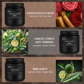 fissiworx 9 Pack Scented Candles Set Gifts for Men, Aromatherapy Candle Set with Scents Sandalwood Rose/Lemon Citrus & Verbena/Bergamot- Gift for Dad, Boyfriend, Birthday, Fathers Day, Anniversary