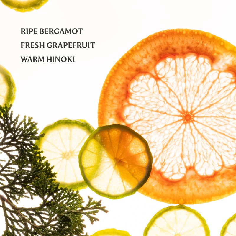 Touchland Power Essence Hydrating Body & Hair Fragrance, Sparkling Bergamot,