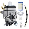 Narcilors A021000811 WYK-192 WYK192 Carburetor Kit Replacement for Echo PB-755