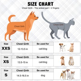 BEAUTYZOO Dog Harness and Leash Set for Small Dogs,No Pull Step-in Harness for Puppy XS S Sized Dogs and Cats,Air Mesh Adjustable Breathable Soft No Chock Escape Proof Vest Harnesses,Striped Purple XS