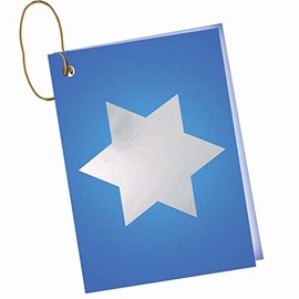 Jillson & Roberts Hanukkah to/from Gift Tags with Tie String & Foil Accents, Star of David (24 Count)