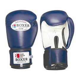 isami TBX-116 Boxer Boxing Gloves 16oz Boxer Martial Arts Kickboxing (White)