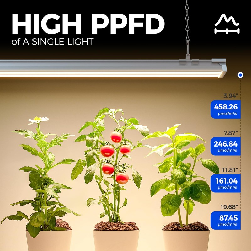 Barrina TX-S60 4FT Grow Light for Indoor Plants, 240W(4 x