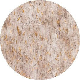 VETRO Bellanail Label Mixing WM Bear Mix 0.2 fl oz (4 ml)