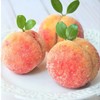 SeolAㅣWinter peaches warmly covered by the first snowㅣCool sweet peaches