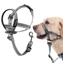 ANDA Gentle Leader Ultra-Light No-Pull Dog Headcollar: Adjustable, Breathable Comfort, Prevents Explosive Rushes, Ideal for Daily Use (Gray, Size 2)