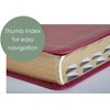 NLT Thinline Reference Holy Bible (Red Letter, LeatherLike, Aurora Cranberry,