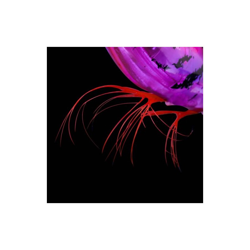 DUEL(デュエル) スッテ EZ-SLIM 布巻 パラソル 85mm 04 LBBL 重量:6g A1687-LBBL-夜光ボイルブラック