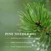 Pine Bath Essence with Essential Oils | 500ml