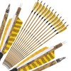 ZSHJGJR 30” Carbon Arrows Hunting Arrows with 4” Turkey Feather