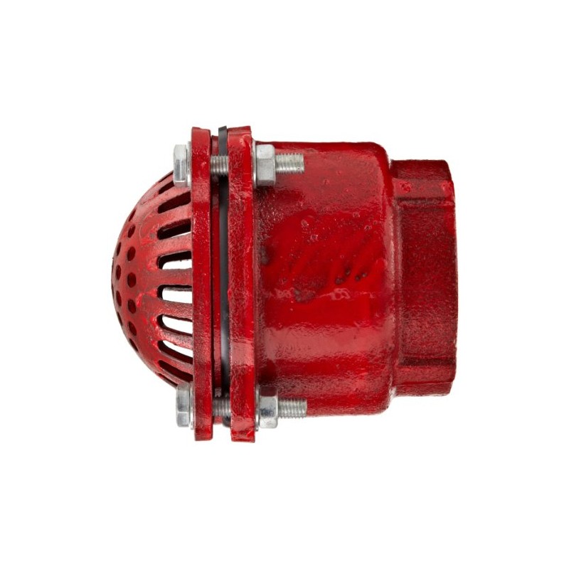 Dixon DFVS35 Painted Carbon Threaded Foot Valve Complete Assembly, 3"