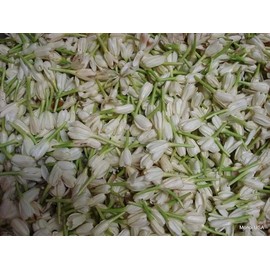 Monoi de Tahiti Mositurizer with DMAE: From the South Pacific