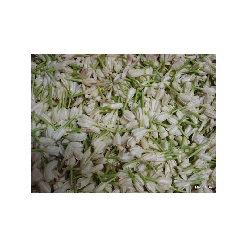 Monoi de Tahiti Mositurizer with DMAE: From the South Pacific