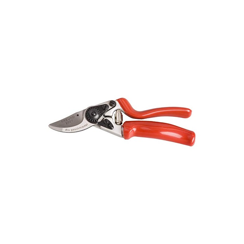 Freund-Victoria 1030719 Pruning Shear 2007, Silver/Red, 40 x 25 x