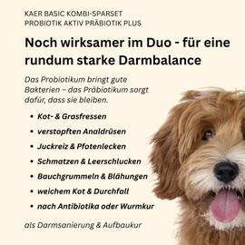 kaer basic Probiotik & Präbiotik Kombi-Sparset für Hunde – rundum Starke Darmbalance bei Kotfressen, Juckreiz, Sodbrennen, sensibler Verdauung & zur Darmsanierung – 2×200g Pulver
