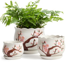 STHIE Ceramic Plant Pots with Drainage Holes and Saucers, Round Flower Pots for Indoor Plant, 3.9/5.2/6.7 Inches Small Flower Planters Set of 3