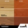 Olympic WaterGuard 1 gal. Sequoia Red Transparent Wood Stain and