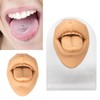 Lips on Tongue Model, Tall Simulated Tongue Model for Piercing