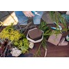 Oasis Forage Floral Foam Strong | Securely Holds Branches and