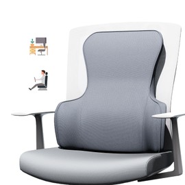 Lumbar Support Pillow for Office Chair – Back Support for Office Chair with All-Season Memory Foam & Anti-Slip Silicone Base, Lower Back Relief, Gray