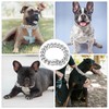 Solid Steel Dog Chain Collar with Buckle,19mm Wide,Heavy Duty Strong