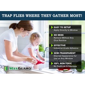 MaxGuard Window Fly Traps (60 XL Traps) Catch & Kill Houseflies, Flying Insects & Bugs. Non-Toxic Sticky Glue Traps Fly Killer Clear Strip Insect Catcher Safe No Zapping with Zapper |