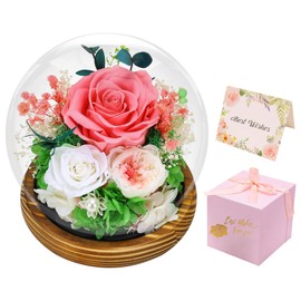 Forever Rose Preserved Roses for Anniversary: Birthday Gifts for Women Wife Flowers for Delivery Prime - Forever Flowers for Mother's Day - Preserved Flowers Eternal Rose for Valentines (Pink)