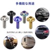 HiLiBoom License Plate Bolt M6 Anti-theft Screw Titanium Alloy Snowflake