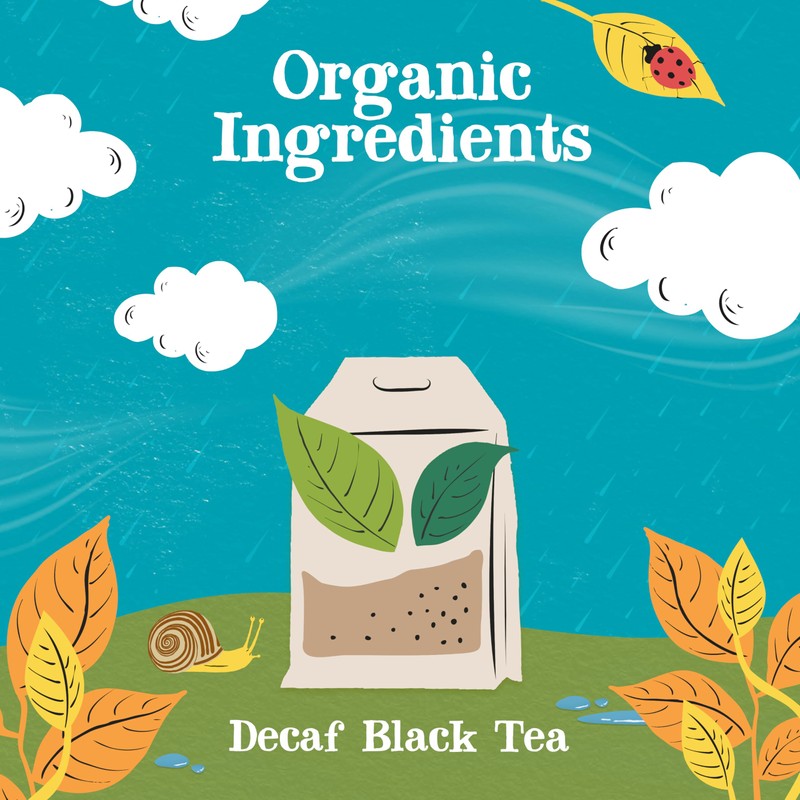 Clipper Organic Everyday Decaf Tea Bags | Natural, Unbleached, Plant-Based