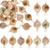 Beebeecraft 1 Box 20Pcs Seashell Connector Charm 18K Gold Plated