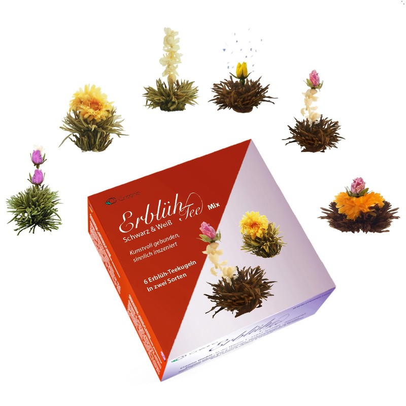 Creano Blooming Tea Gift Set with Glass Pot 17oz/500ml with