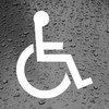 Disabled Logo Wheelchair Car Van Bumper Window Vinyl Decal Sticker