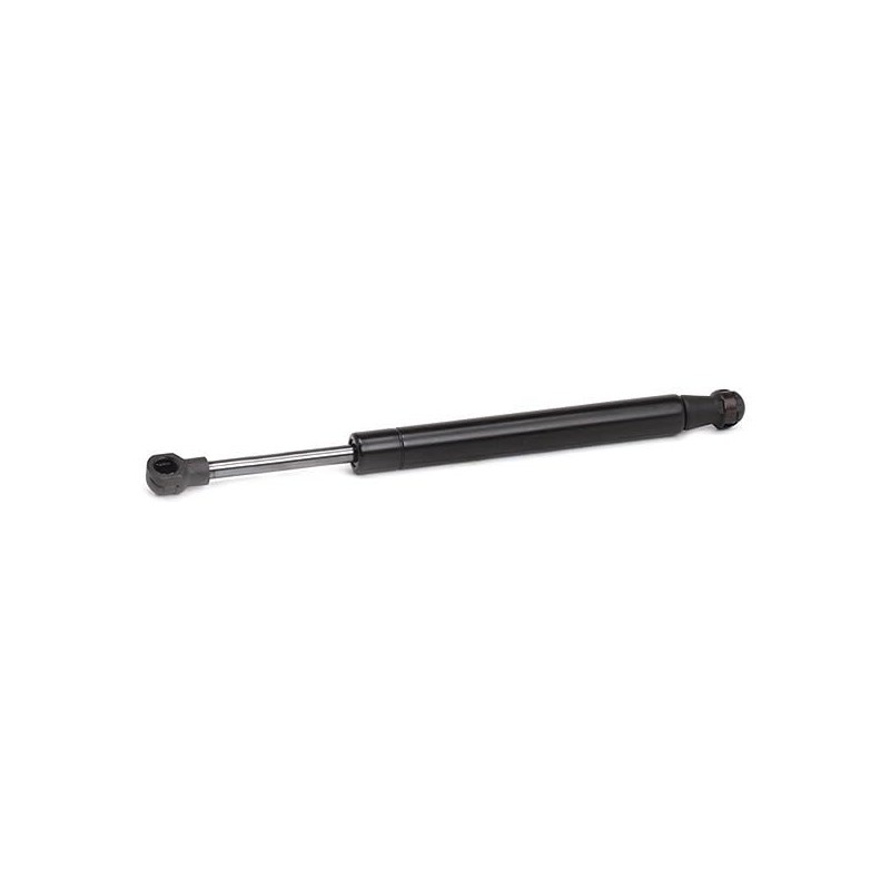 RIDEX Tailgate Damper 219G0645 Double-Sided Rear Length 256 mm Extension