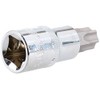 T60 Male Torx Bit Star Socket 1/2" Drive Standard Internal