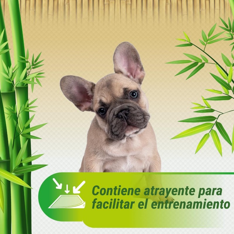 Fancy Pets Tepete Entrenador con Bambú Soft Pad con 14