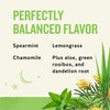 Celestial Seasonings Sleepytime Wellness Detox Tea, Caffeine Free, 20 Tea