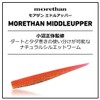 DAIWA Chivas Wind Worm Moissanite Middle Upper 3.5" Silver Flounder