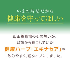 山田養蜂場 エキナセア粒＜90粒袋入＞