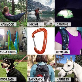 Carabiner, Robust and Lightweight Carabiner Hook, 1200 kg D-shaped Aluminium Carabiner for Camping, Hiking, Outdoor, Hammock, Small Carabiner Hook for Key Ring (2 Blue 2 Orange)