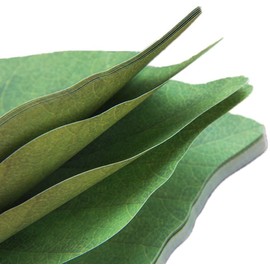 4 Packs 200 Sheets Sticky Notes Stickers Removable Self-Stick Notes Scratch Pads， Beautiful Green Leaf-Shaped Sticky Notes Stickers Can be Used for Sticky Paper Notepads to Recording Thing and DIY